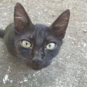 Meet your Posher, Debby